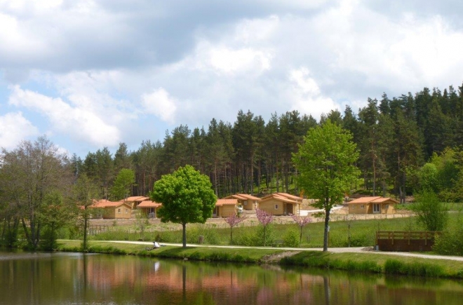 Les Chalets du Haut-Forez Rodano-Alpi - Usson-en-Forez visuel 4/9