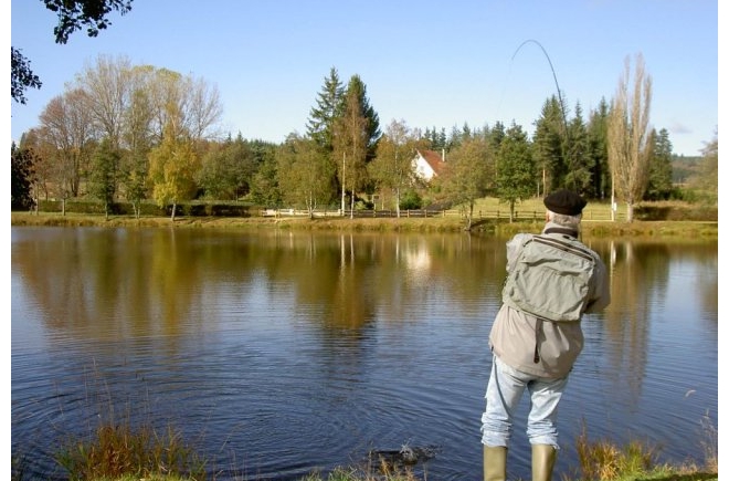 Les Chalets du Haut-Forez Rodano-Alpi - Usson-en-Forez visuel 9/9
