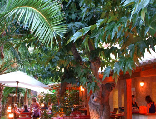 Les Champs Blancs Linguadoca-Rossiglione - Agde visuel 9/10