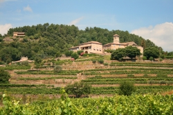 Les Chataigniers Rodano-Alpi - Ribes visuel 11/11