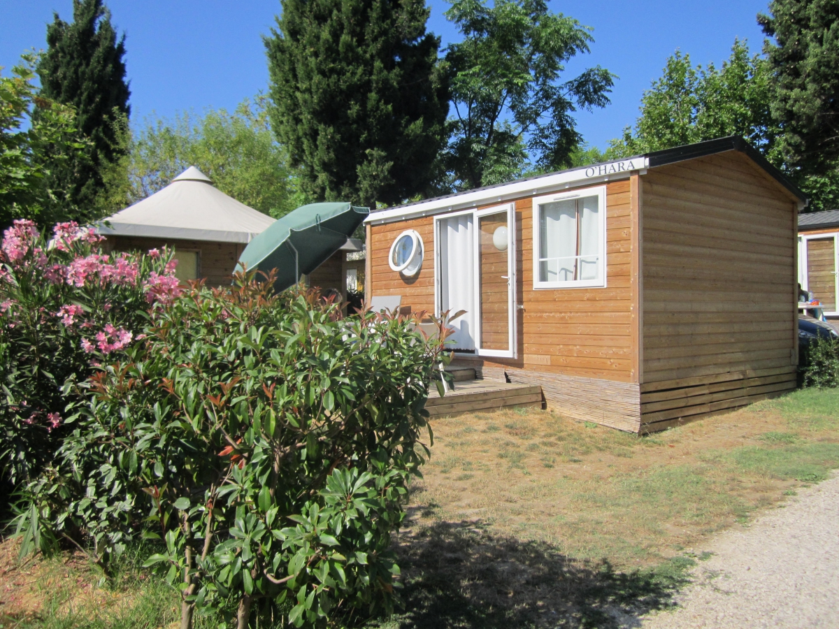 Les Cigales Linguadoca-Rossiglione - Pézenas visuel 9/12