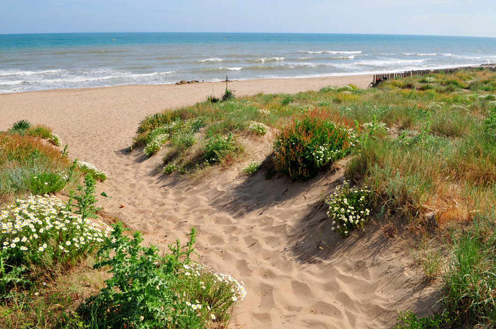 L'Occitan Linguadoca-Rossiglione - Vias visuel 2/7