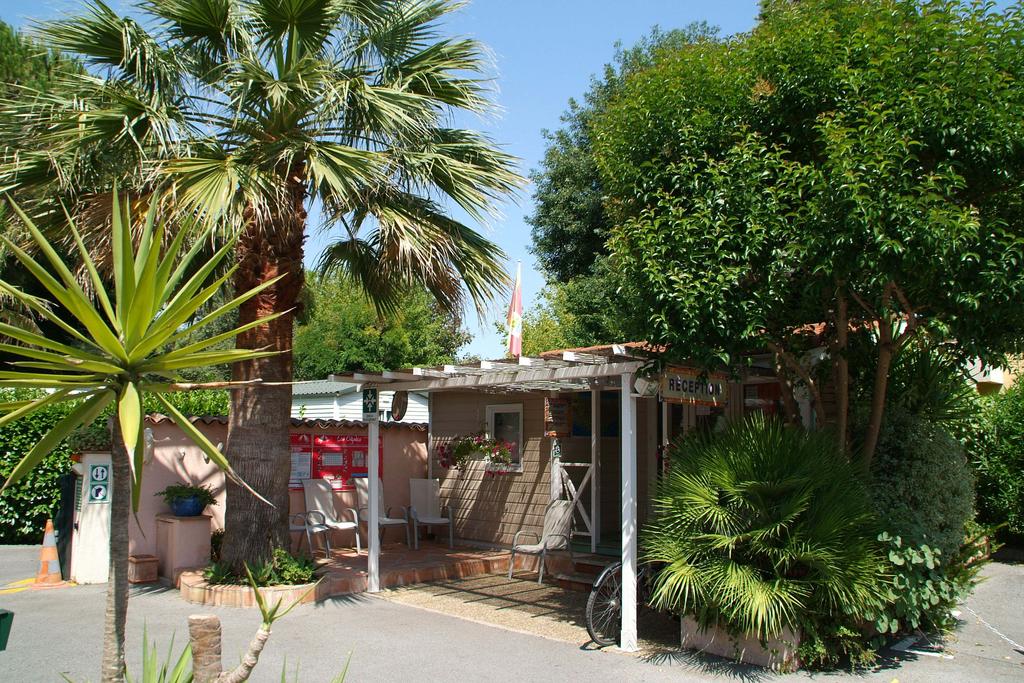 Les Cigales Provenza-Alpi-Costa Azzurra - Mandelieu-la-Napoule visuel 4/8