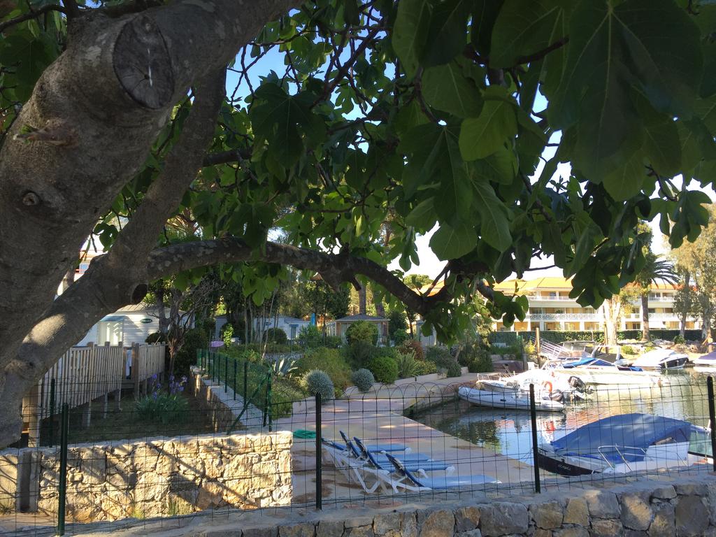 Les Cigales Provenza-Alpi-Costa Azzurra - Mandelieu-la-Napoule visuel 6/8