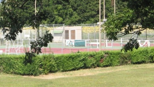 Les Cigales Provenza-Alpi-Costa Azzurra - Peyruis visuel 5/5