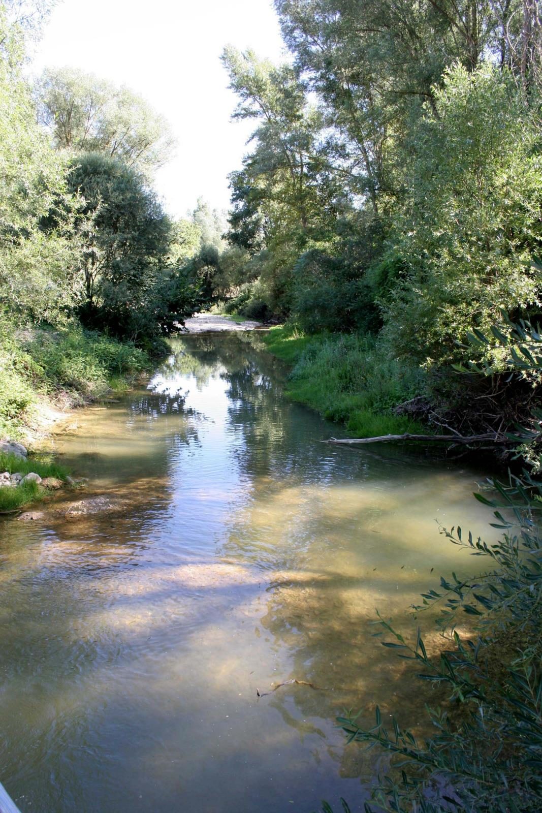 Les Coccinelles Provenza-Alpi-Costa Azzurra - Lurs visuel 4/4
