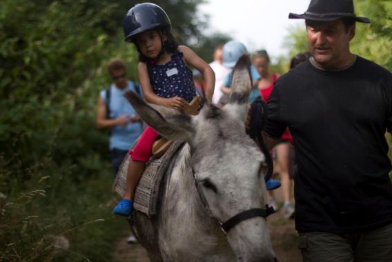 Les collines de Sainte-Féréole Limosino - Sainte-Féréole visuel 6/12 Les collines de Sainte-Féréole Limosino - Sainte-Féréole visuel 6/12