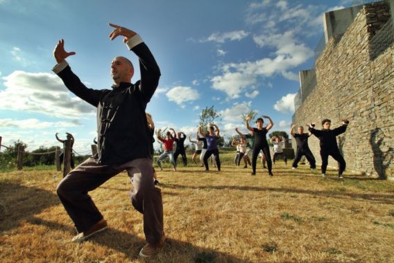 Les collines de Sainte-Féréole Limosino - Sainte-Féréole visuel 12/12 Les collines de Sainte-Féréole Limosino - Sainte-Féréole visuel 12/12