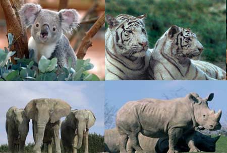 Les Coteaux du Lac Centro-Valle della Loira - Chemillé-sur-Indrois visuel 2/10 Les Coteaux du Lac Centro-Valle della Loira - Chemillé-sur-Indrois visuel 2/10