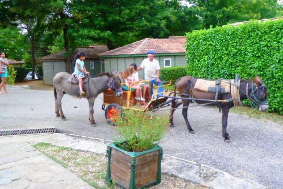 Les Cruses Rodano-Alpi - Ribes visuel 9/11