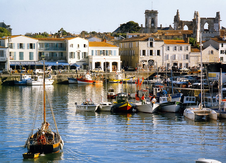 Les Dunes Paesi della Loira - Longeville sur Mer visuel 7/12 Les Dunes Paesi della Loira - Longeville sur Mer visuel 7/12