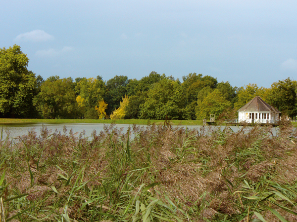 Les Etangs Centro-Valle della Loira - Aubigny-sur-Nère visuel 6/10 Les Etangs Centro-Valle della Loira - Aubigny-sur-Nère visuel 6/10