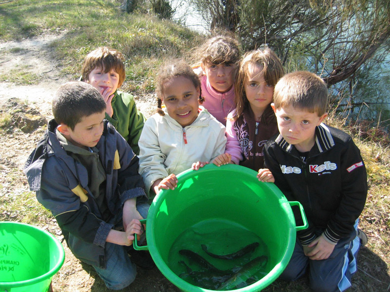 Les Etangs Mina Poitou-Charentes - Saint-Sornin visuel 10/11