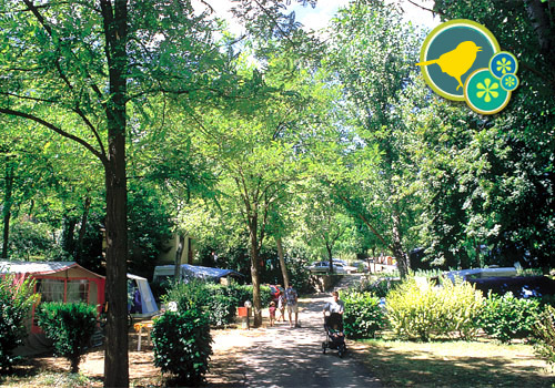 Les Fauvettes Linguadoca-Rossiglione - Anduze visuel 8/11