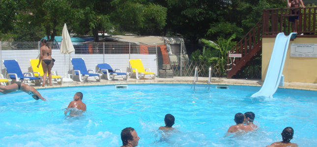 Les Floralies Provenza-Alpi-Costa Azzurra - Montauroux visuel 2/5 Les Floralies Provenza-Alpi-Costa Azzurra - Montauroux visuel 2/5