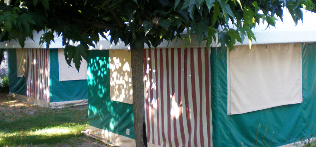 Les Floralies Provenza-Alpi-Costa Azzurra - Montauroux visuel 4/5 Les Floralies Provenza-Alpi-Costa Azzurra - Montauroux visuel 4/5