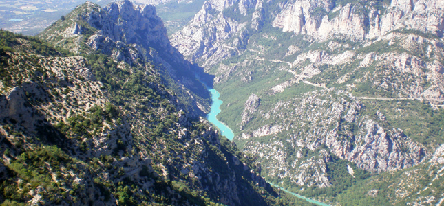 Les Floralies Provenza-Alpi-Costa Azzurra - Montauroux visuel 5/5 Les Floralies Provenza-Alpi-Costa Azzurra - Montauroux visuel 5/5