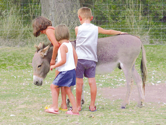 Les Fontaines Linguadoca-Rossiglione - Canet-en-Roussillon visuel 3/10