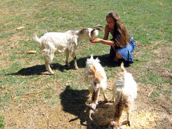 Les Fontaines Linguadoca-Rossiglione - Canet-en-Roussillon visuel 9/10