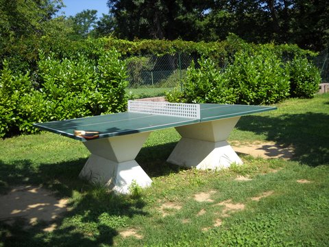 Les Fouguières Provenza-Alpi-Costa Azzurra - Carcès visuel 8/11