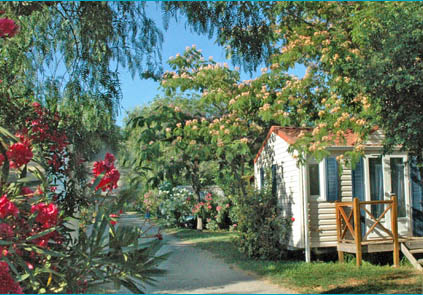 Les Galets Linguadoca-Rossiglione - Argelès-sur-Mer visuel 5/8 Les Galets Linguadoca-Rossiglione - Argelès-sur-Mer visuel 5/8