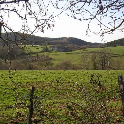 Les Genêts du Morvan Bourgogne - Ouroux-en-Morvan visuel 3/3 Les Genêts du Morvan Bourgogne - Ouroux-en-Morvan visuel 3/3