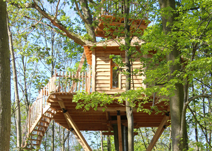 Domaine les Grands Chênes Piccardia - Raray visuel 15/15 Domaine les Grands Chênes Piccardia - Raray visuel 15/15