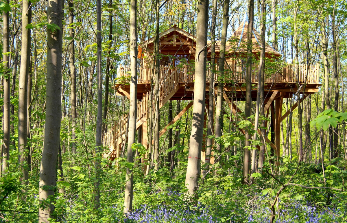 Domaine les Grands Chênes Piccardia - Raray visuel 8/15 Domaine les Grands Chênes Piccardia - Raray visuel 8/15