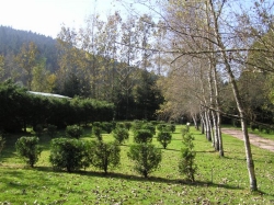 Les Granges Bas Lorena - Gérardmer visuel 3/8