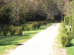 Les Granges Bas Lorena - Gérardmer visuel 5/8
