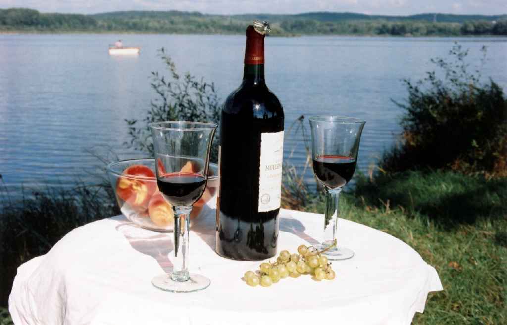 Les Grèbes du Lac Bourgogne - Marcenay visuel 1/1