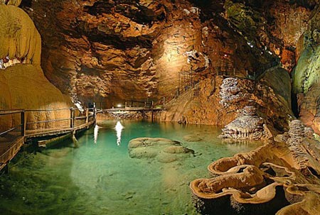 Les Hameaux de Miel Limosino - Beynat visuel 10/10 Les Hameaux de Miel Limosino - Beynat visuel 10/10