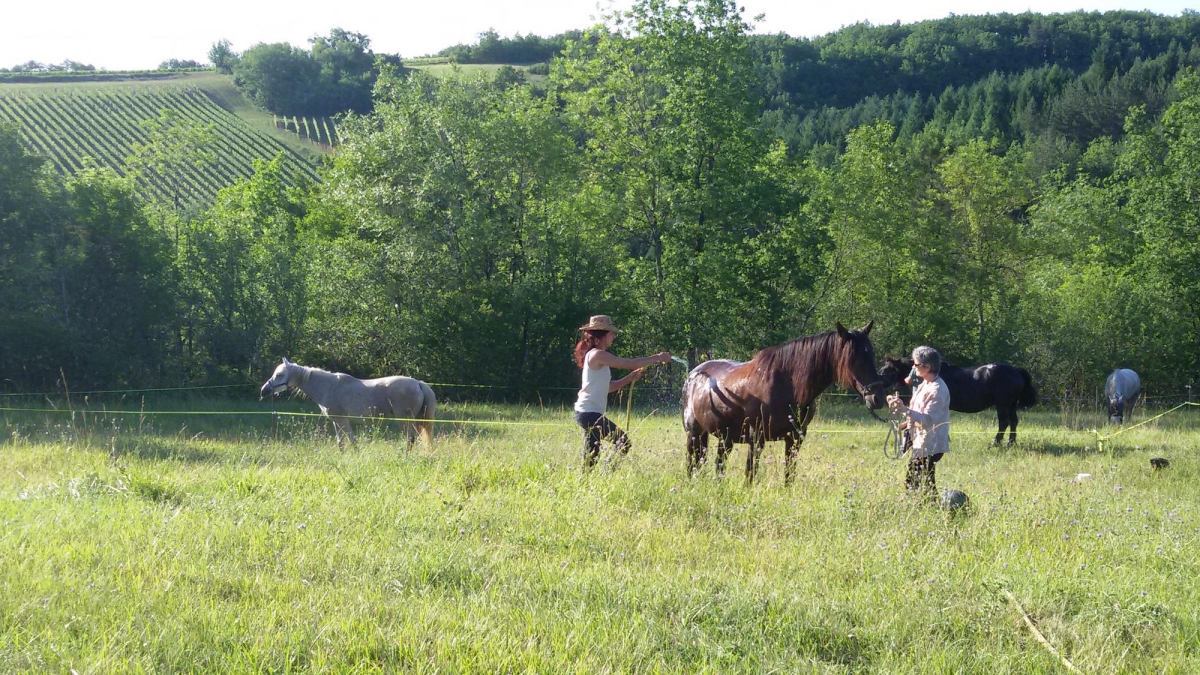 Les Hauts d'Albas Midi-Pirenei - Albas visuel 6/10 Les Hauts d'Albas Midi-Pirenei - Albas visuel 6/10