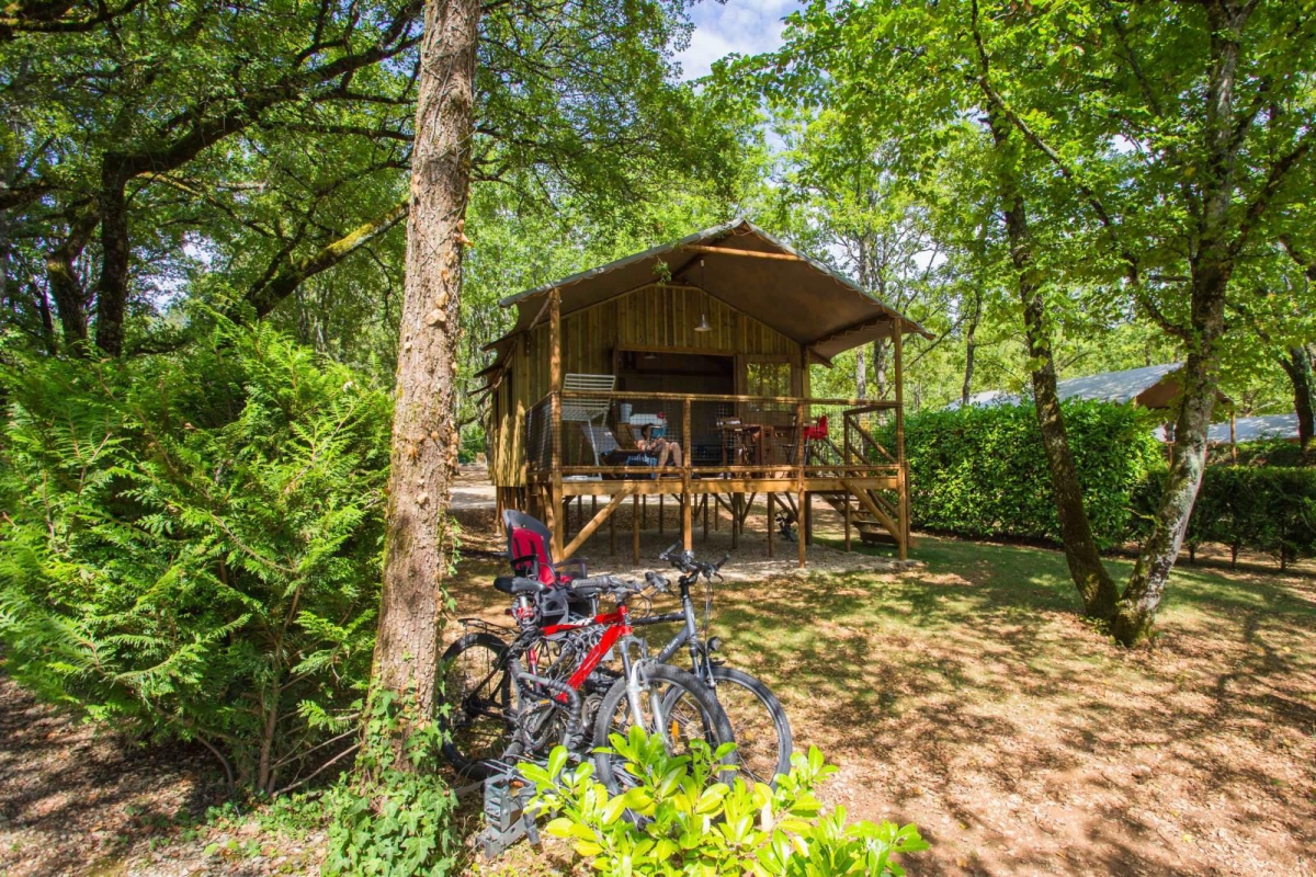 Les Hirondelles Midi-Pirenei - Loupiac visuel 9/11 Les Hirondelles Midi-Pirenei - Loupiac visuel 9/11