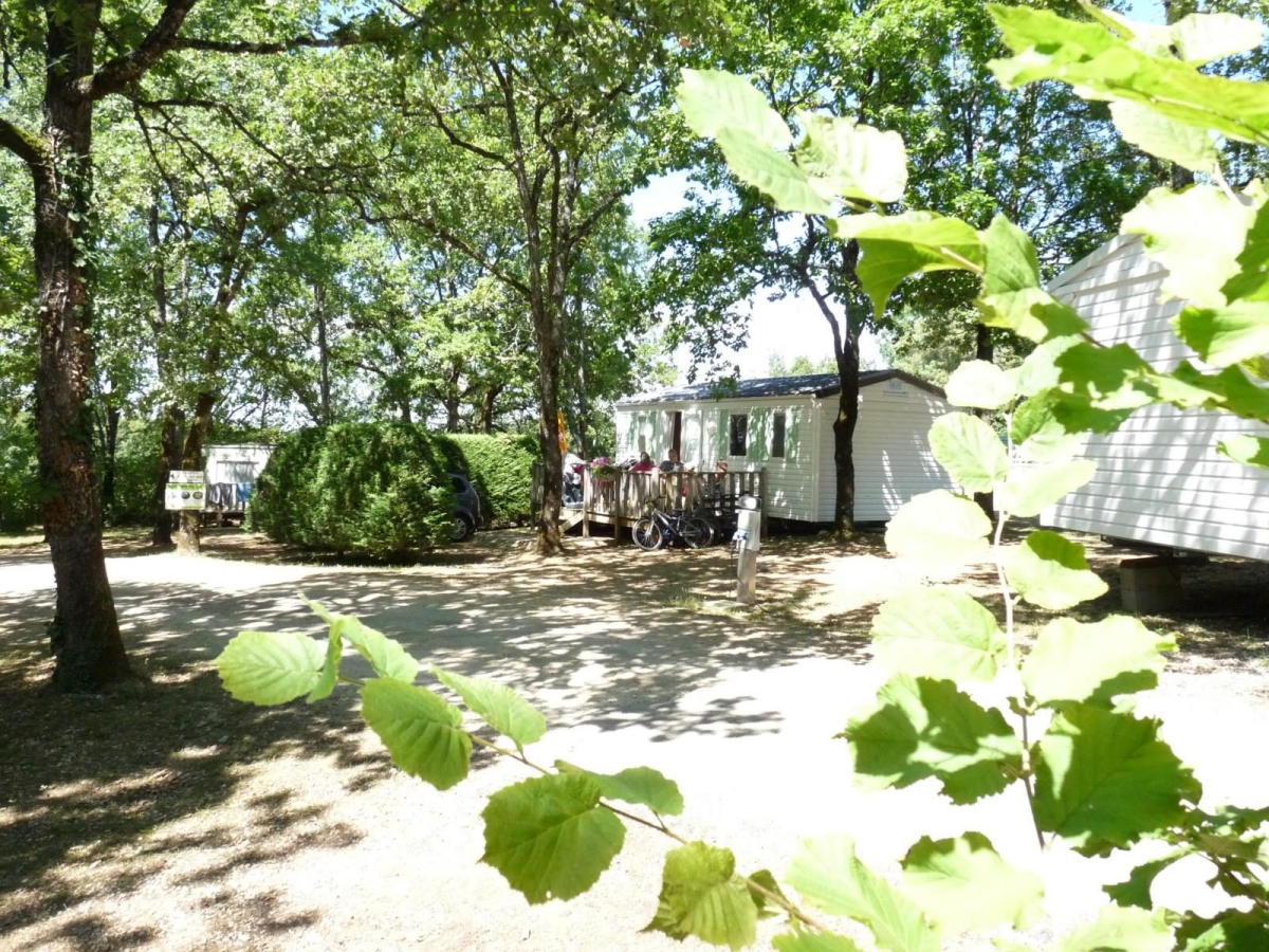 Les Hirondelles Midi-Pirenei - Loupiac visuel 10/11 Les Hirondelles Midi-Pirenei - Loupiac visuel 10/11