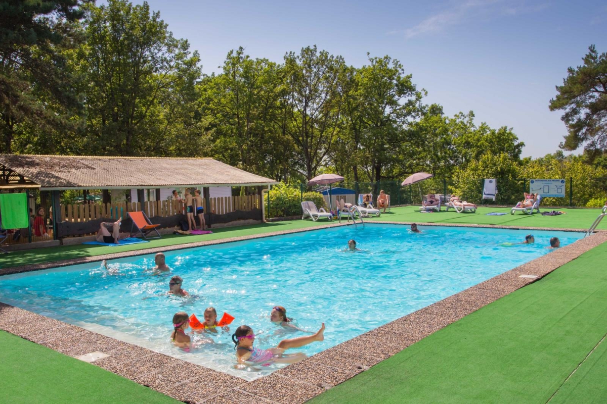 Les Hirondelles Midi-Pirenei - Loupiac visuel 11/11 Les Hirondelles Midi-Pirenei - Loupiac visuel 11/11