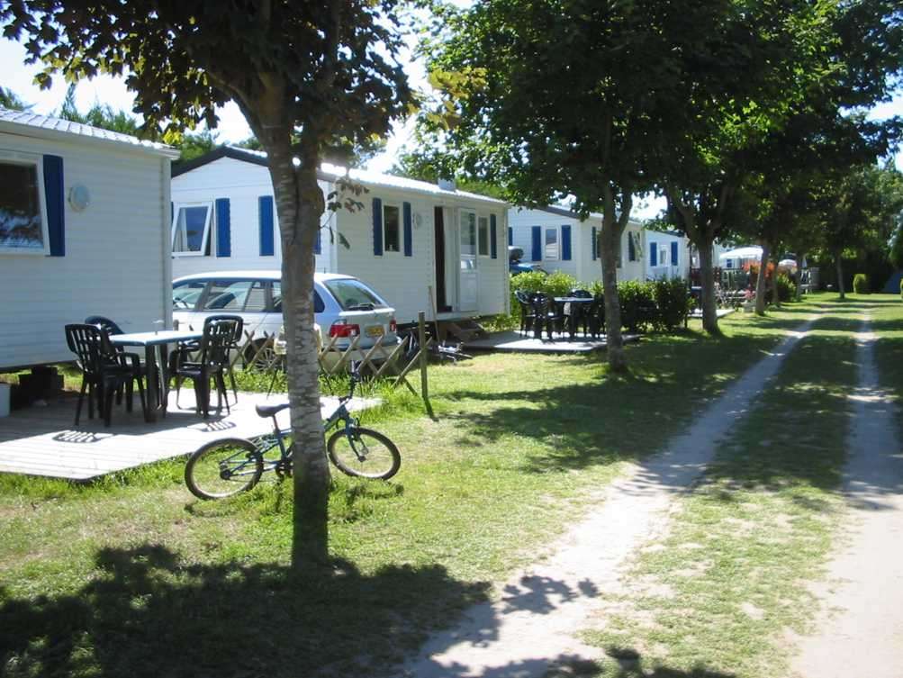 Les Hortensias Bretagna - Loctudy visuel 3/6 Les Hortensias Bretagna - Loctudy visuel 3/6