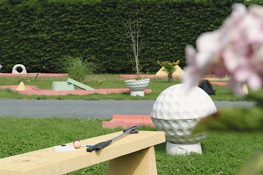 Les Hortensias Bretagna - Loctudy visuel 4/6 Les Hortensias Bretagna - Loctudy visuel 4/6