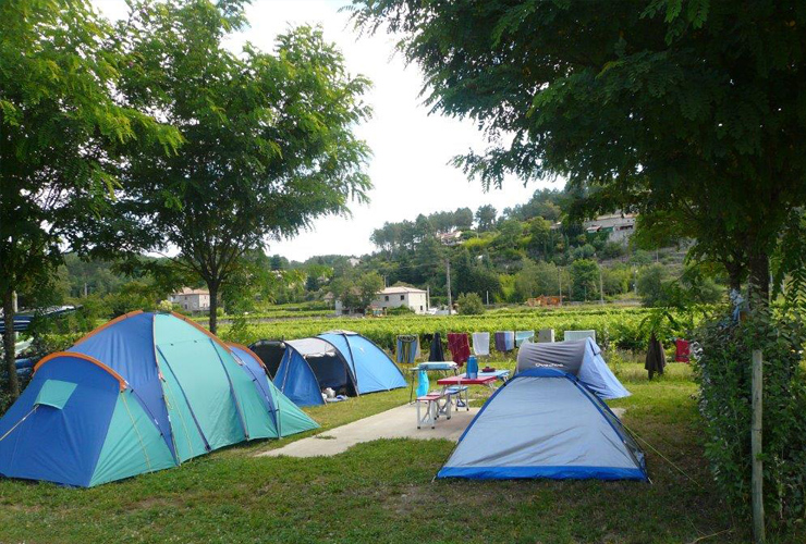 Les Hortensias Rodano-Alpi - La Rosière visuel 6/11