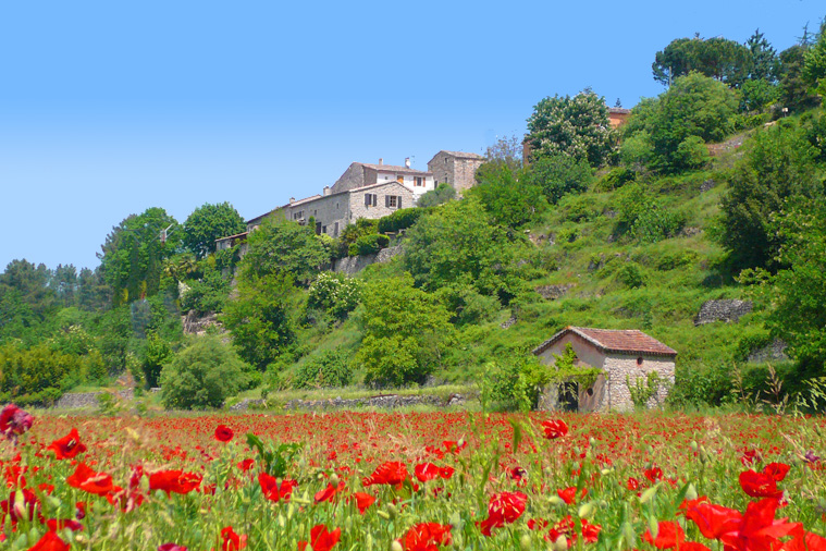 Les Hortensias Rodano-Alpi - La Rosière visuel 10/11