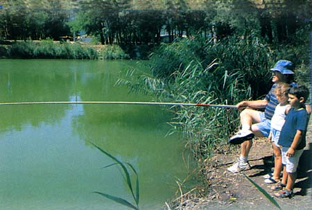 Les Ilons Rodano-Alpi - Cruas visuel 9/9 Les Ilons Rodano-Alpi - Cruas visuel 9/9
