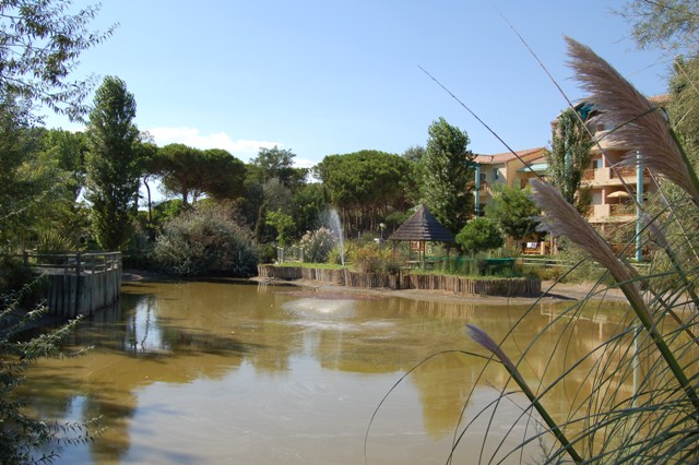 Les Jardins de Tivoli Linguadoca-Rossiglione - Le Grau-du-Roi visuel 2/2