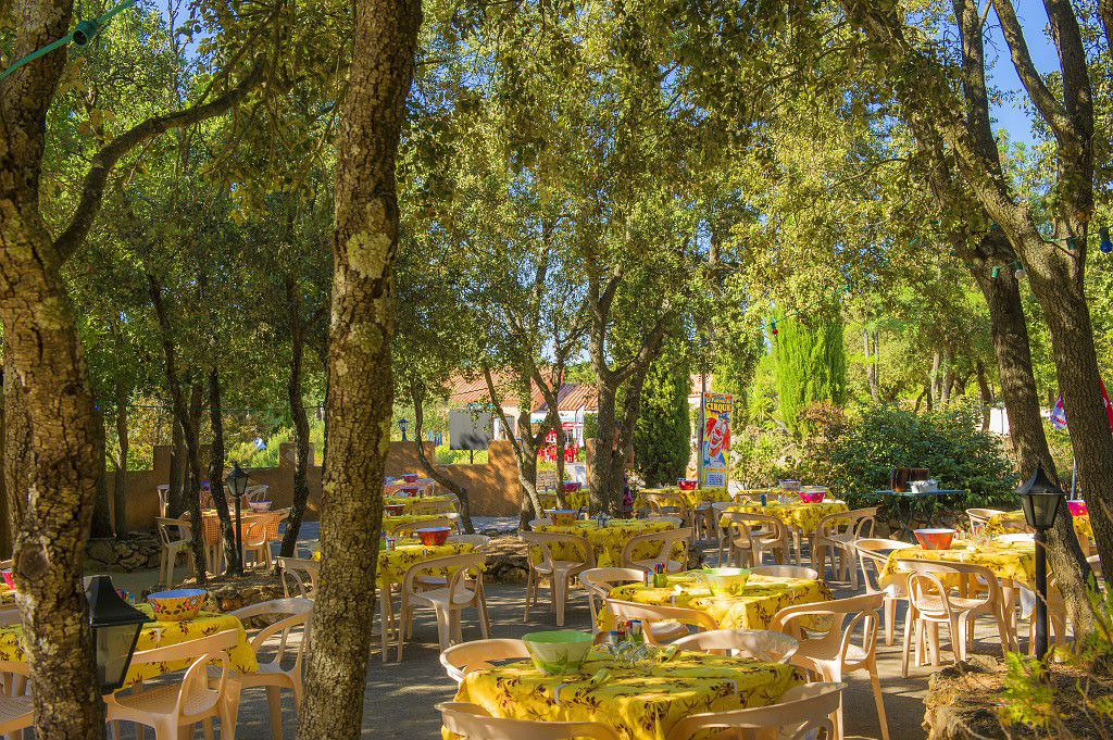 Les Lacs du Verdon Provenza-Alpi-Costa Azzurra - Régusse visuel 19/24