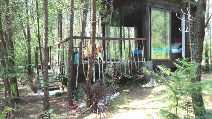 Les Landines Aquitania - Origne visuel 2/6 Les Landines Aquitania - Origne visuel 2/6