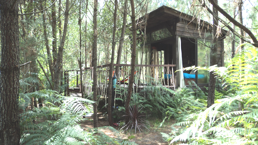 Les Landines Aquitania - Origne visuel 3/6 Les Landines Aquitania - Origne visuel 3/6