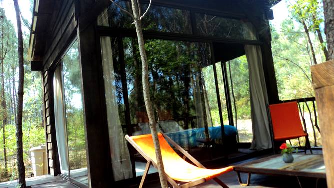 Les Landines Aquitania - Origne visuel 4/6 Les Landines Aquitania - Origne visuel 4/6