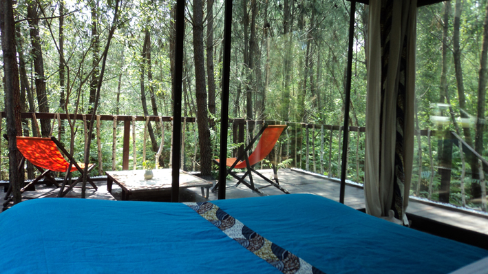 Les Landines Aquitania - Origne visuel 5/6 Les Landines Aquitania - Origne visuel 5/6