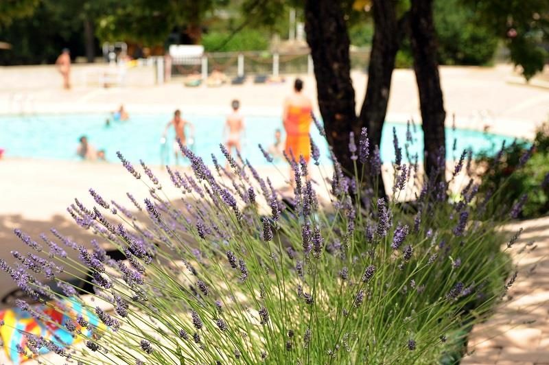 Les LauzonsDomaine Naturiste - Provenza-Alpi-Costa Azzurra - Limans visuel 5/7