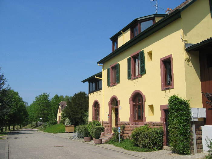 Les Lupins Alsazia - Seppois-le-Bas visuel 3/10 Les Lupins Alsazia - Seppois-le-Bas visuel 3/10