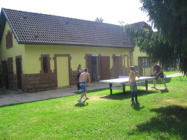 Les Lupins Alsazia - Seppois-le-Bas visuel 5/10 Les Lupins Alsazia - Seppois-le-Bas visuel 5/10